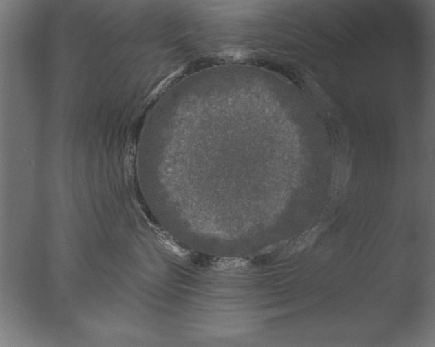 X0000076310576200610201616