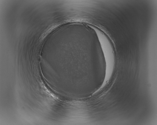 X0000076310577200610201615