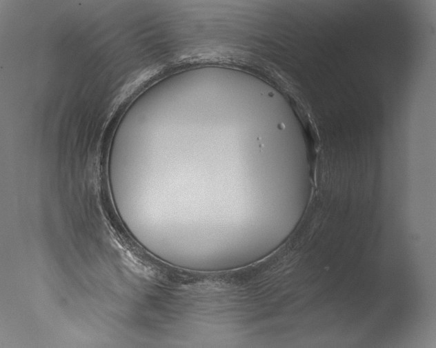 X0000076310578200610201615