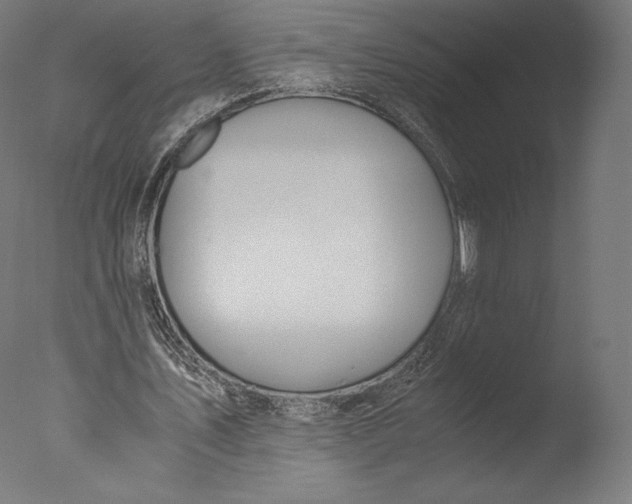 X0000076310579200610201615