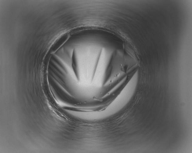 X0000076310580200610201615