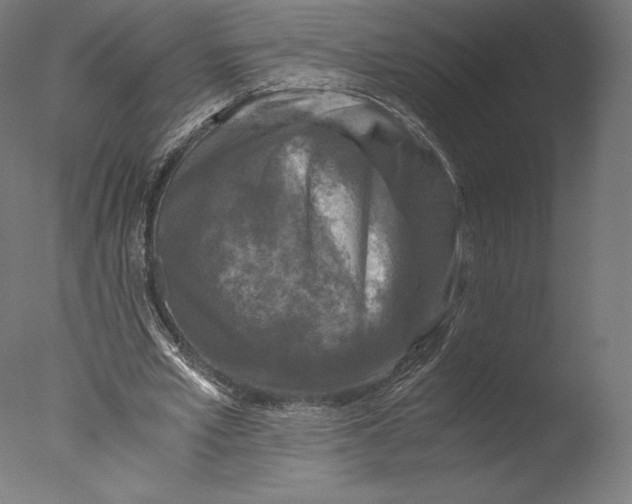 X0000076310581200610201615