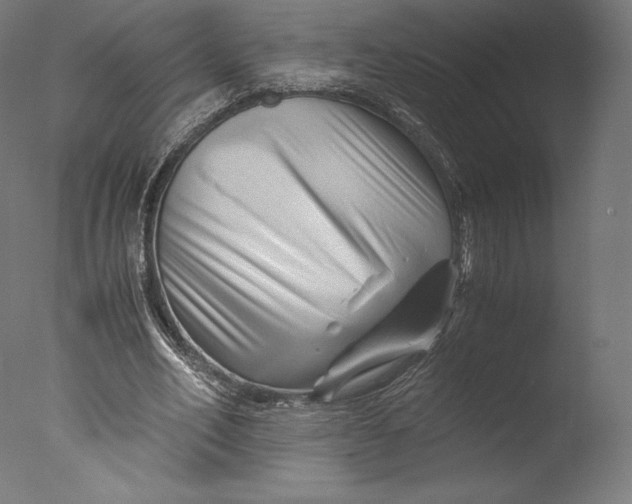 X0000076310582200610201615