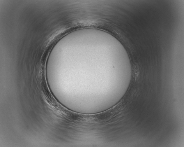 X0000076310583200610201615