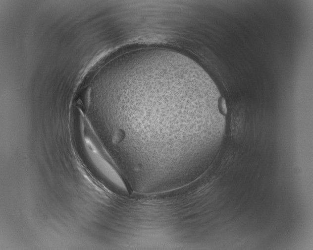 X0000076310584200610201615