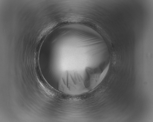 X0000076310586200610201615