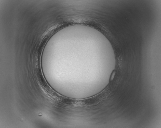 X0000076310587200610201615