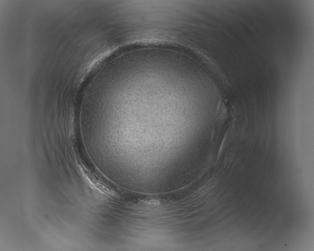 X0000076310588200610201615