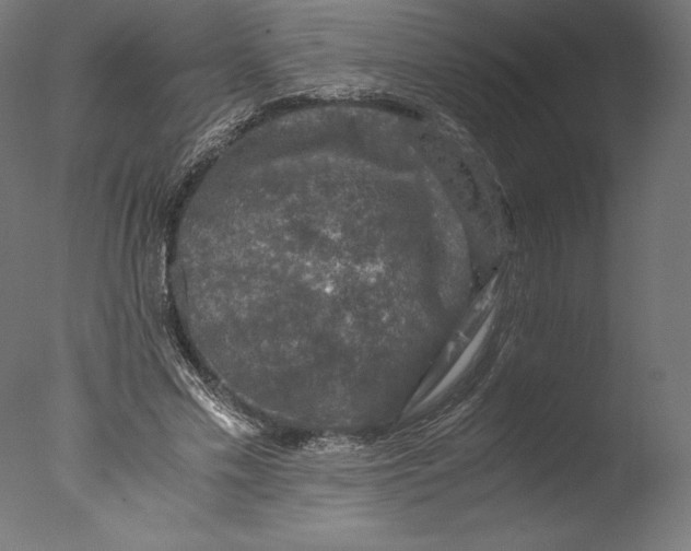 X0000076310589200610201615