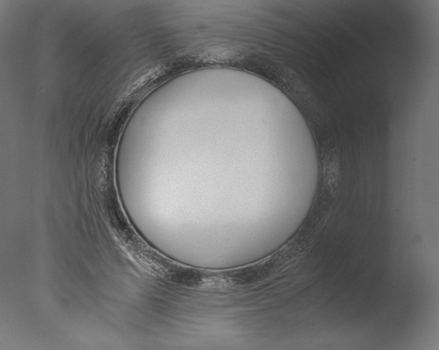 X0000076310591200610201615