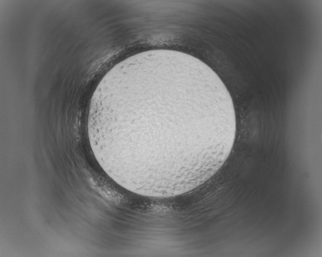 X0000076310592200610201615