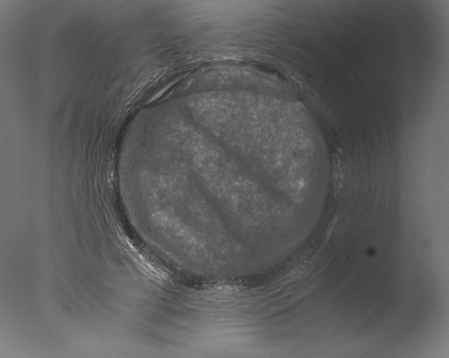 X0000076310593200610201615