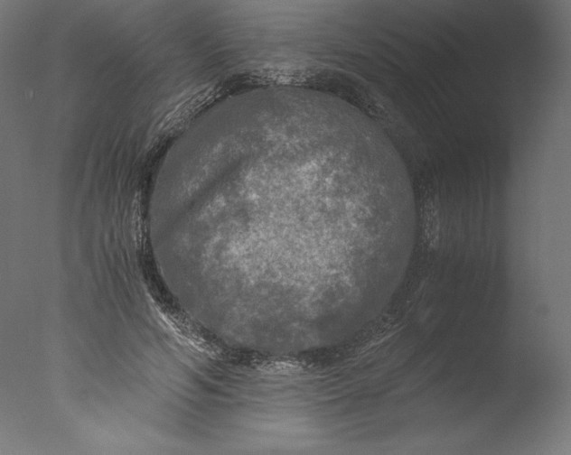 X0000076310594200610201615