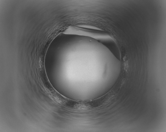 X0000076310597200610201615