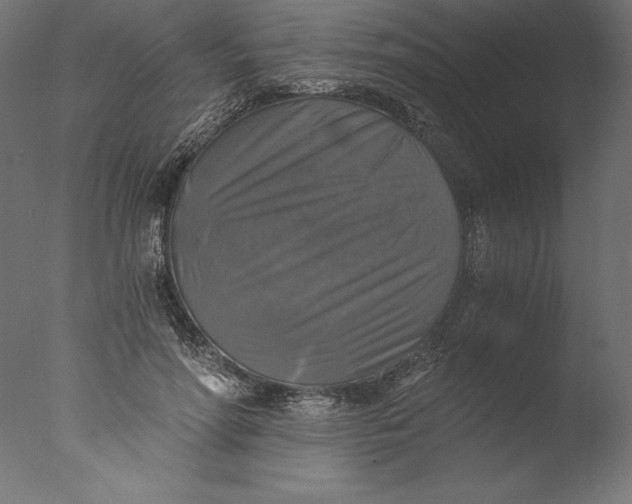 X0000076310598200610201614