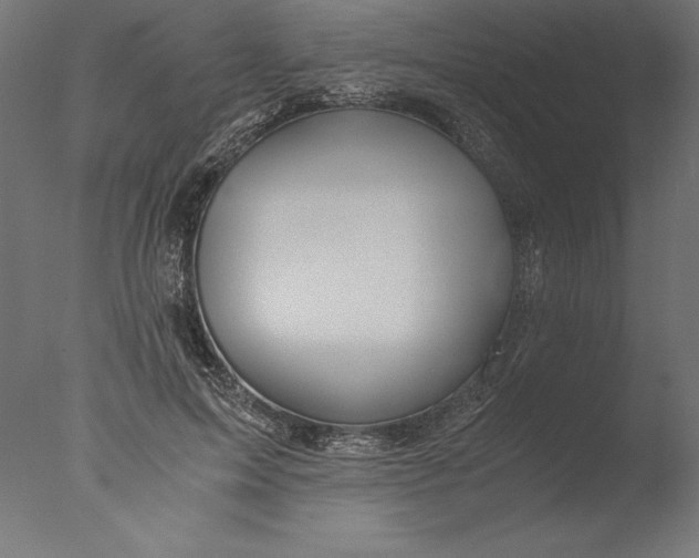 X0000076310599200610201614