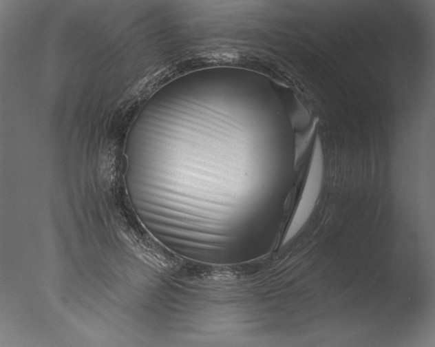 X0000076310600200610201614