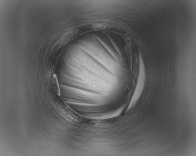 X0000076310601200610201614