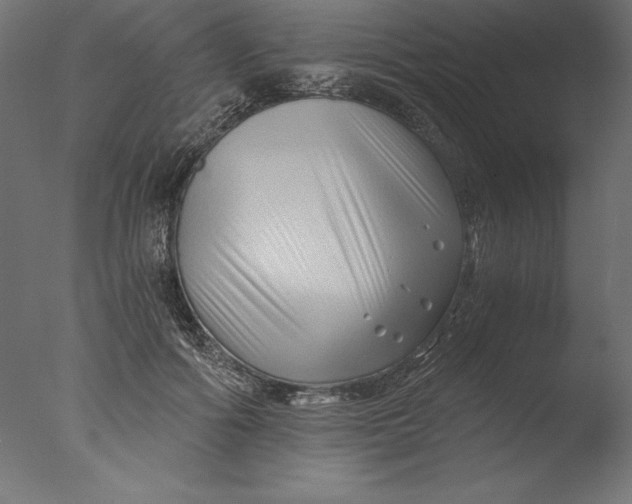 X0000076310602200610201614