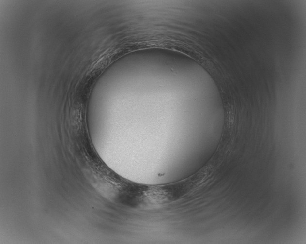 X0000076310603200610201614