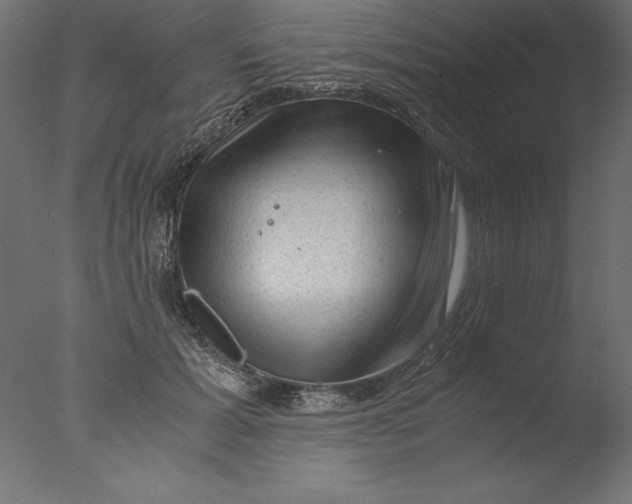 X0000076310605200610201614