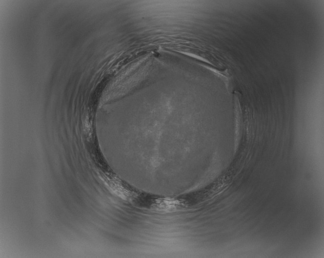 X0000076310607200610201614