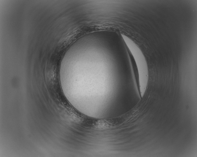 X0000076310608200610201614