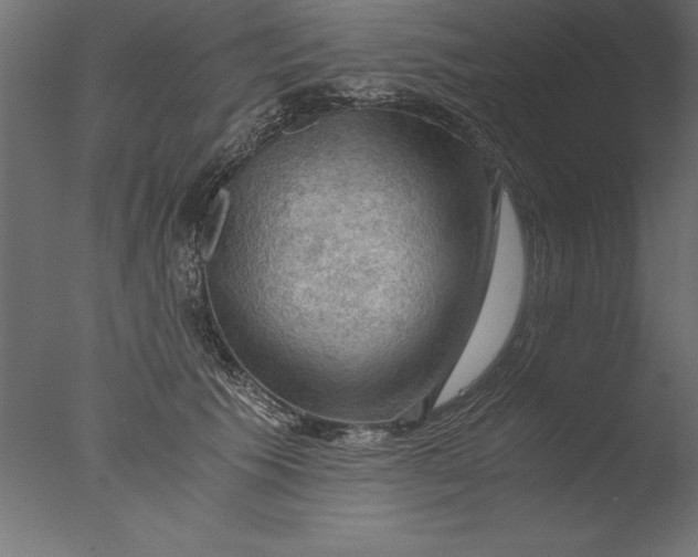 X0000076310609200610201614