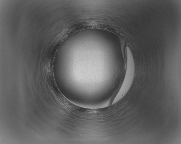 X0000076310611200610201614