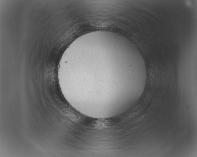 X0000076310612200610201614