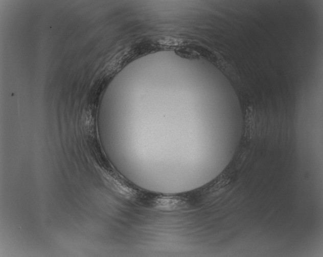 X0000076310614200610201614