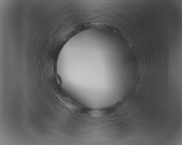 X0000076310615200610201614