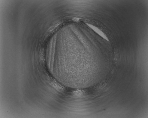 X0000076310616200610201614