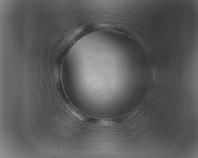 X0000076310617200610201614