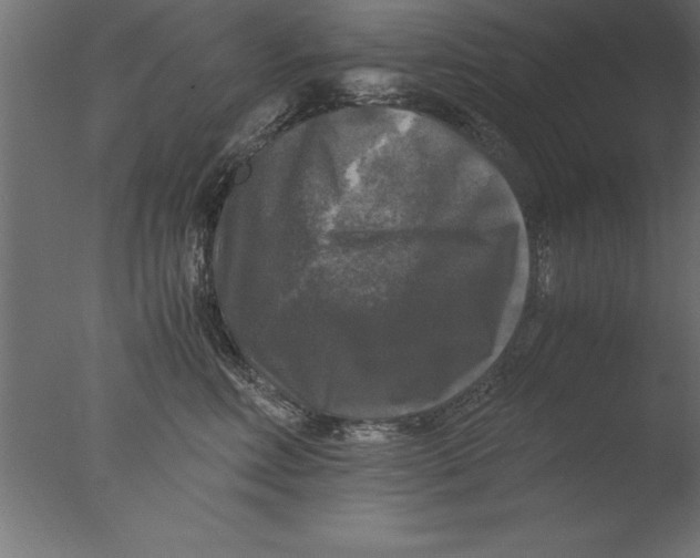 X0000076310618200610201614