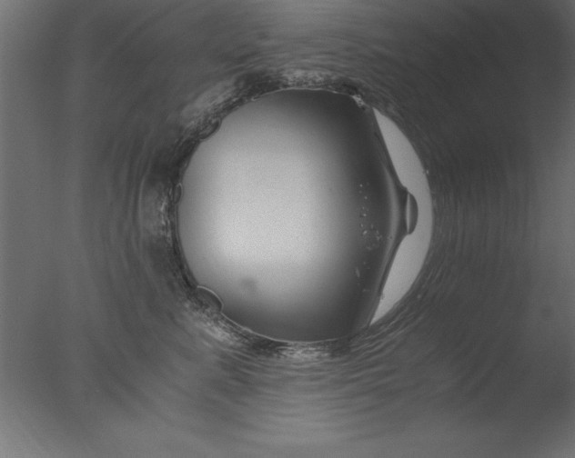 X0000076310619200610201614