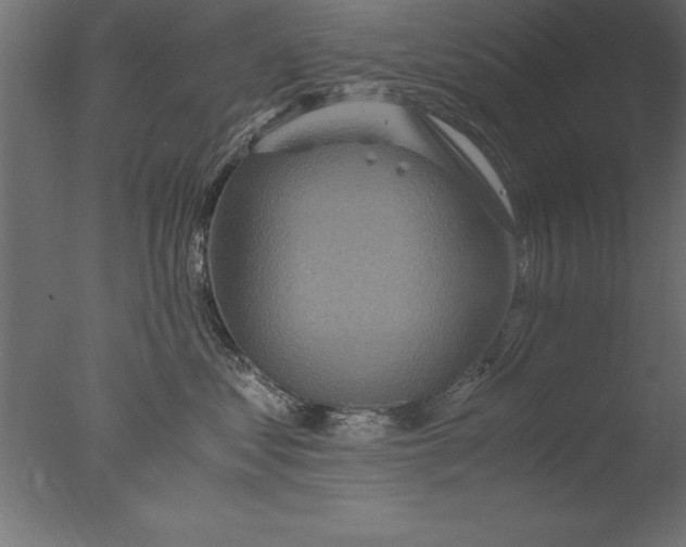 X0000076310621200610201614