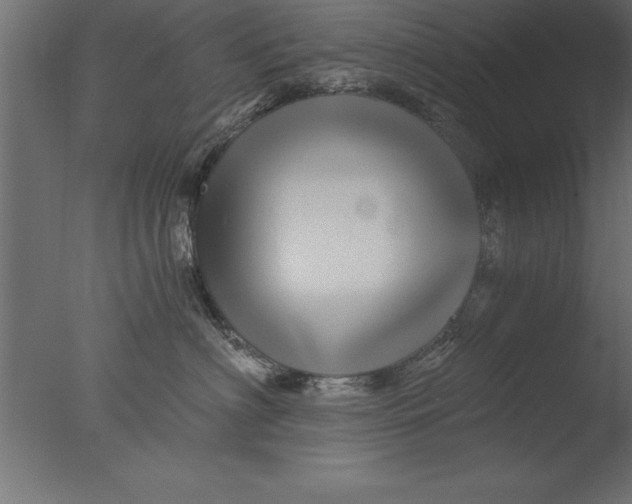 X0000076310622200610201614