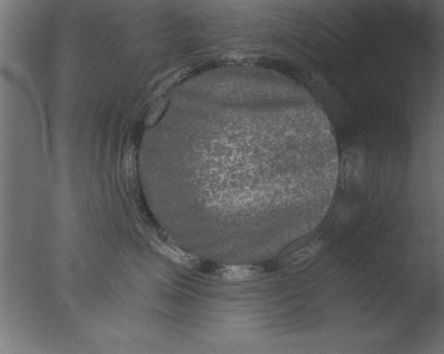 X0000076310623200610201614