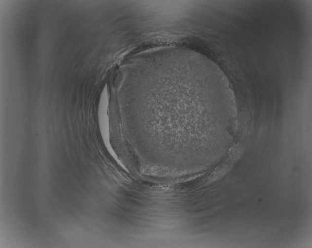 X0000076310624200610201614