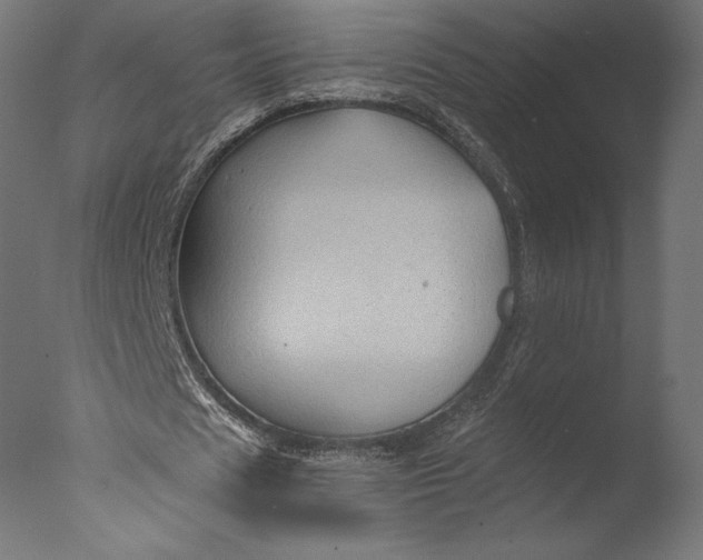 X0000076310625200610201613