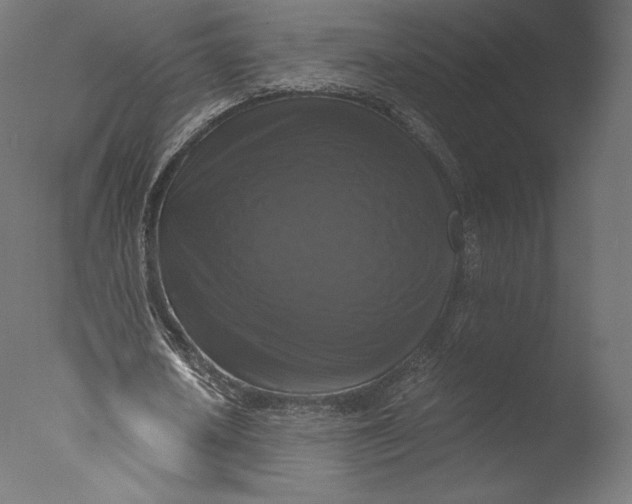 X0000076310626200610201613