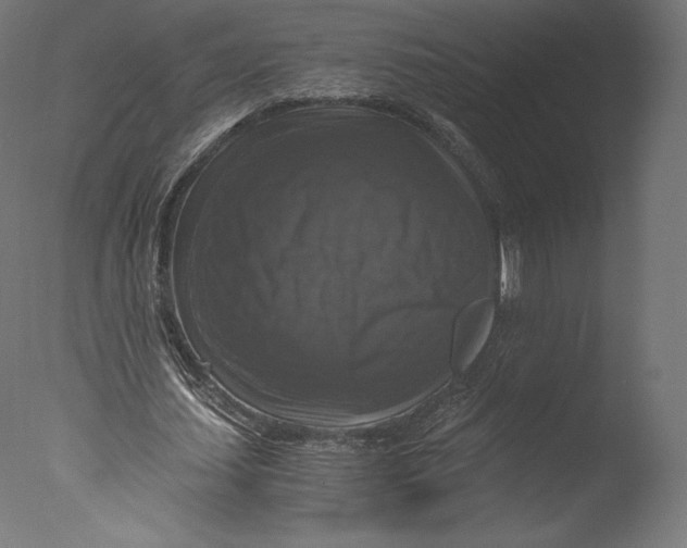 X0000076310627200610201613