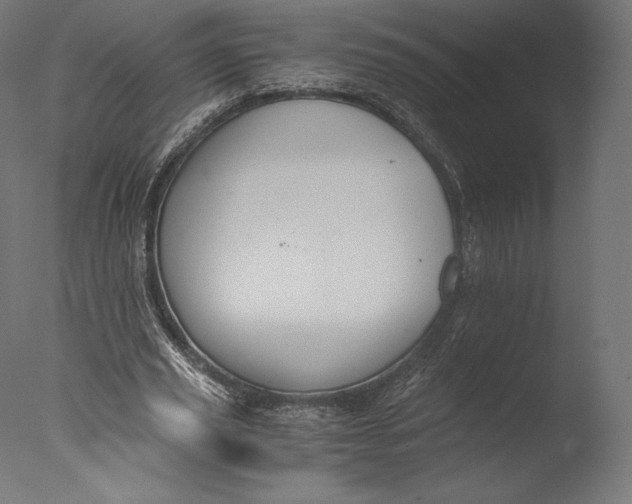 X0000076310629200610201613