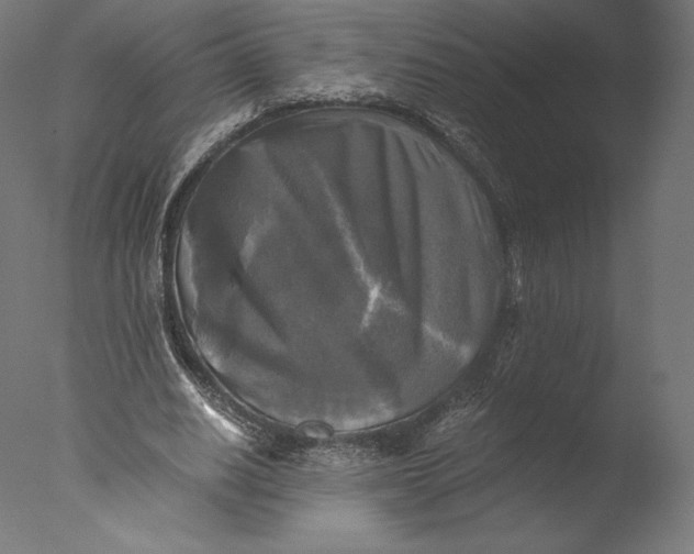 X0000076310630200610201613