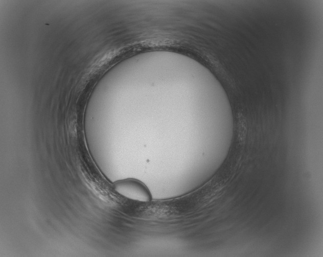 X0000076310631200610201613