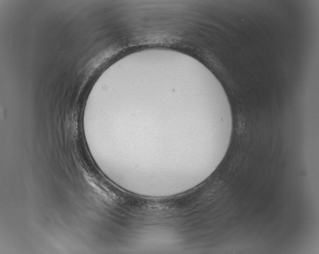 X0000076310632200610201613