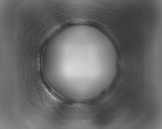 X0000076310633200610201613