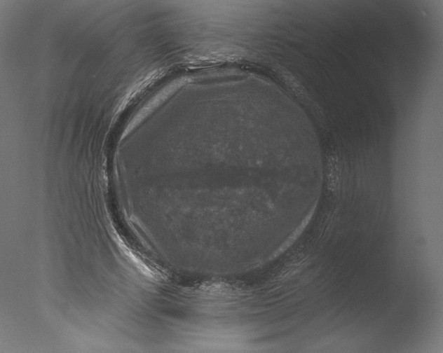 X0000076310634200610201613