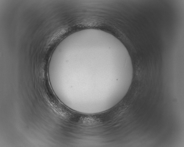 X0000076310635200610201613